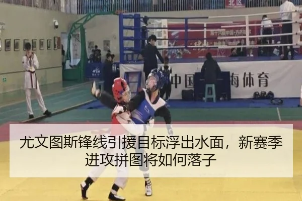 尤文图斯锋线引援目标浮出水面，新赛季进攻拼图将如何落子（bet365 sportsbook）